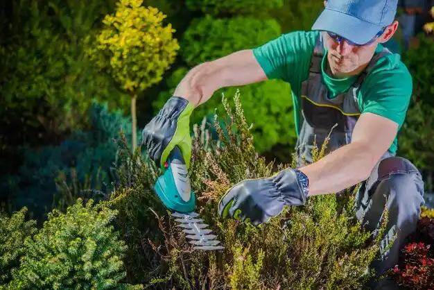 landscaping services Park Hills